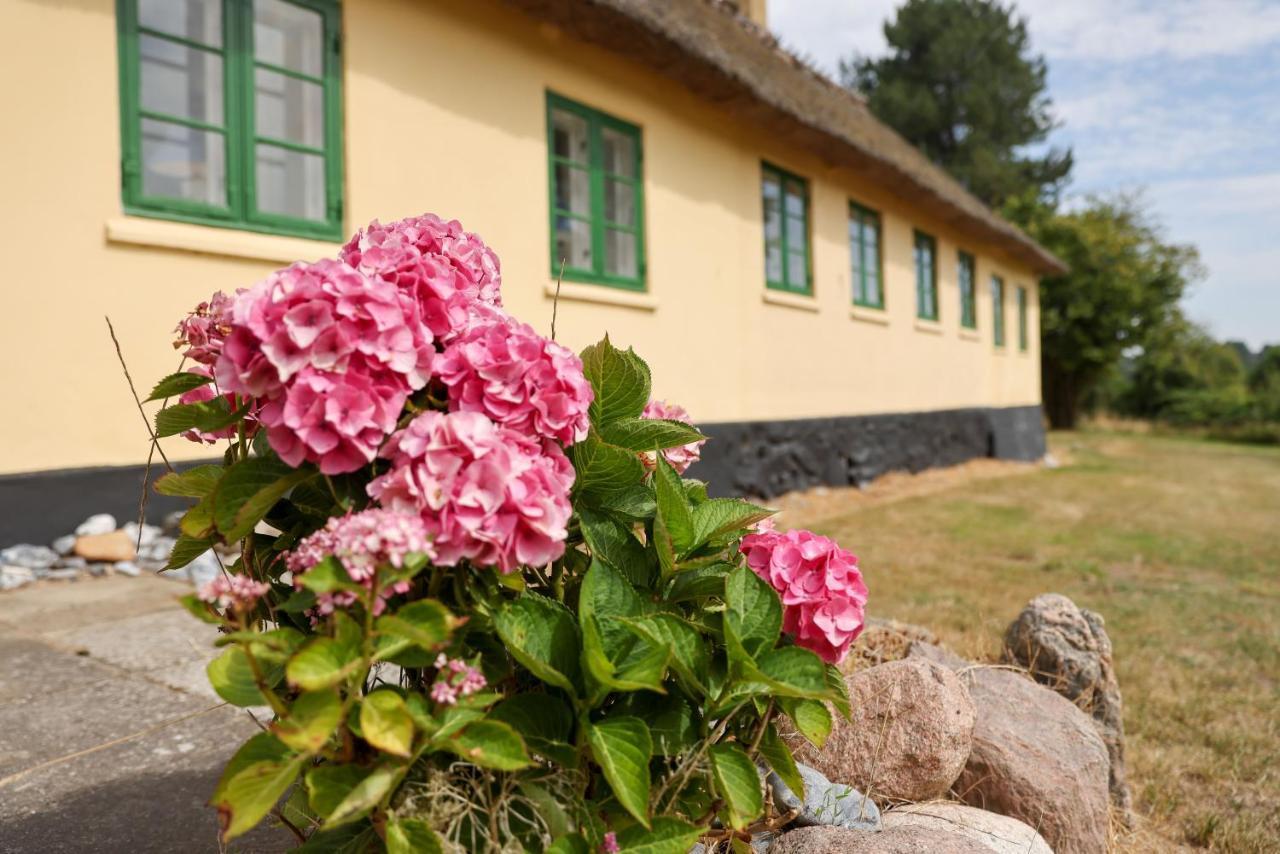 Sandet Borre Exterior foto